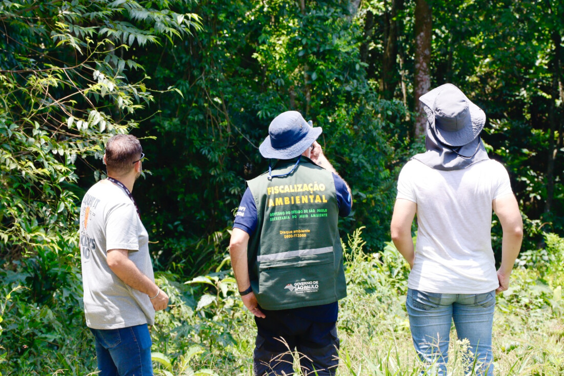 Operação combate desmatamento e loteamentos clandestinos em Suzano