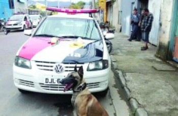 PM e Canil apreendem drogas em bairros de Mogi