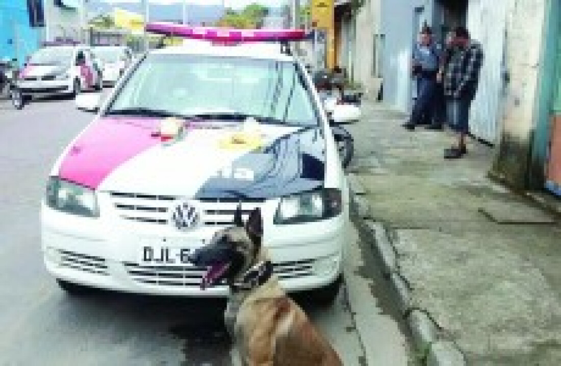 PM e Canil apreendem drogas em bairros de Mogi