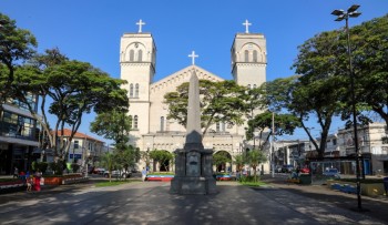 Prefeitura de Mogi das Cruzes acende árvore de Natal neste sábado