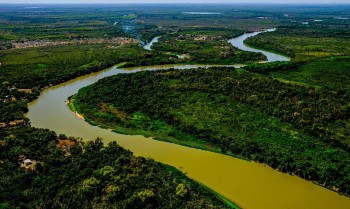 Cerrado e Pantanal
