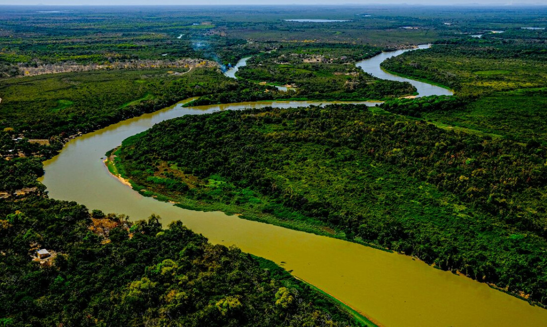 Cerrado e Pantanal