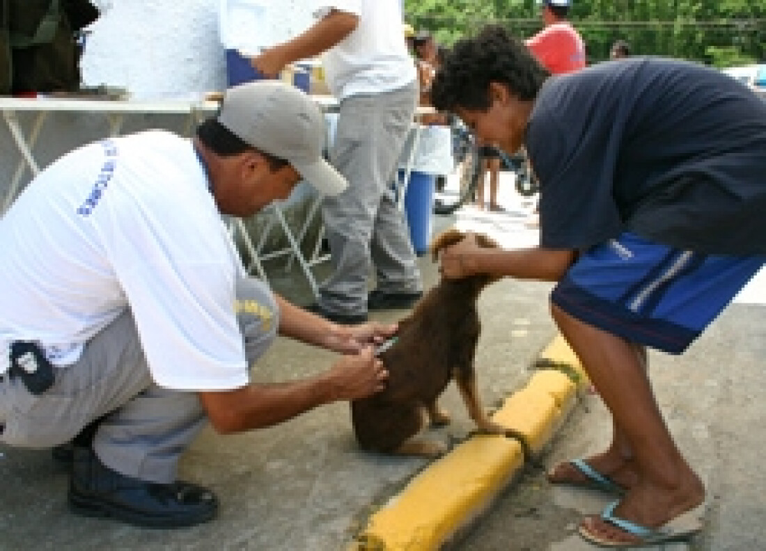 Centro de Controle de Zoonoses realiza vacinação antirrábica neste sábado