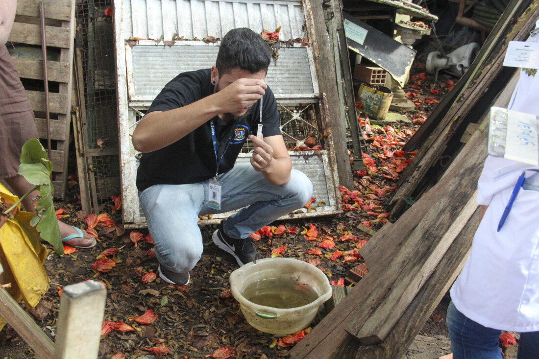 Prefeitura de Poá alerta para aumento dos focos de dengue no verão