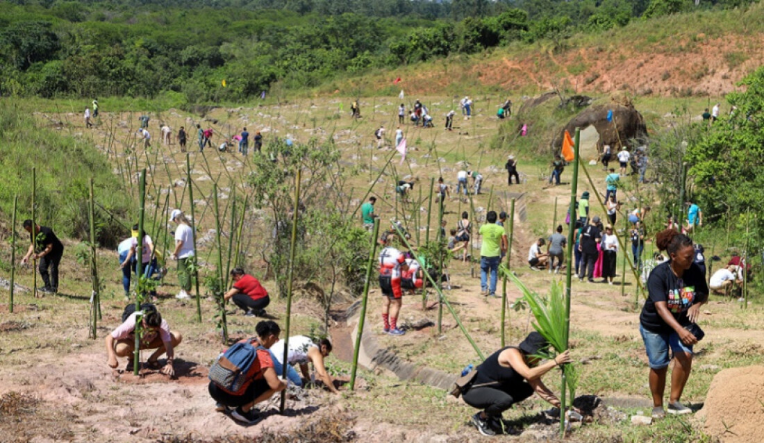 Plantio de mudas inicia processo de recuperação ambiental 