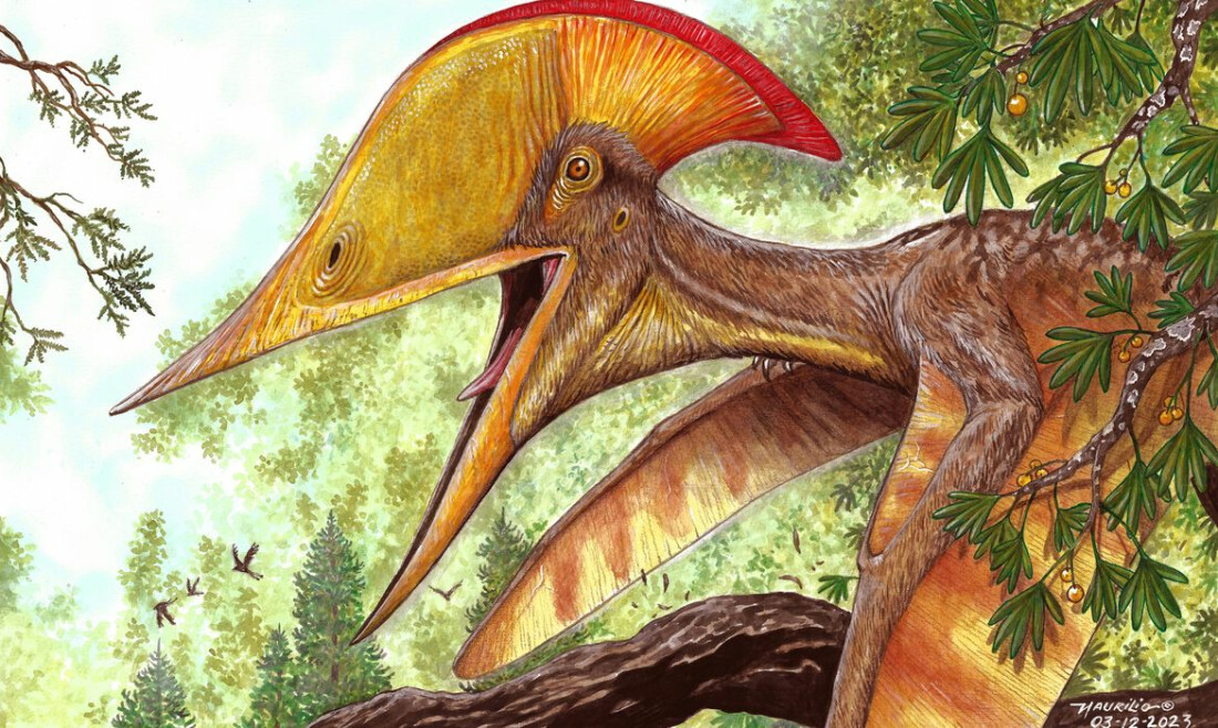  Colaboração científica