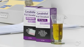 Governo de SP regulamenta oferta de remédios à base de canabidiol