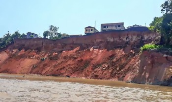 Início do estudo