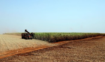 Arroz e feijão