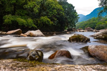Ecoturismo em Bertioga atrai visitantes e amantes da natureza em janeiro