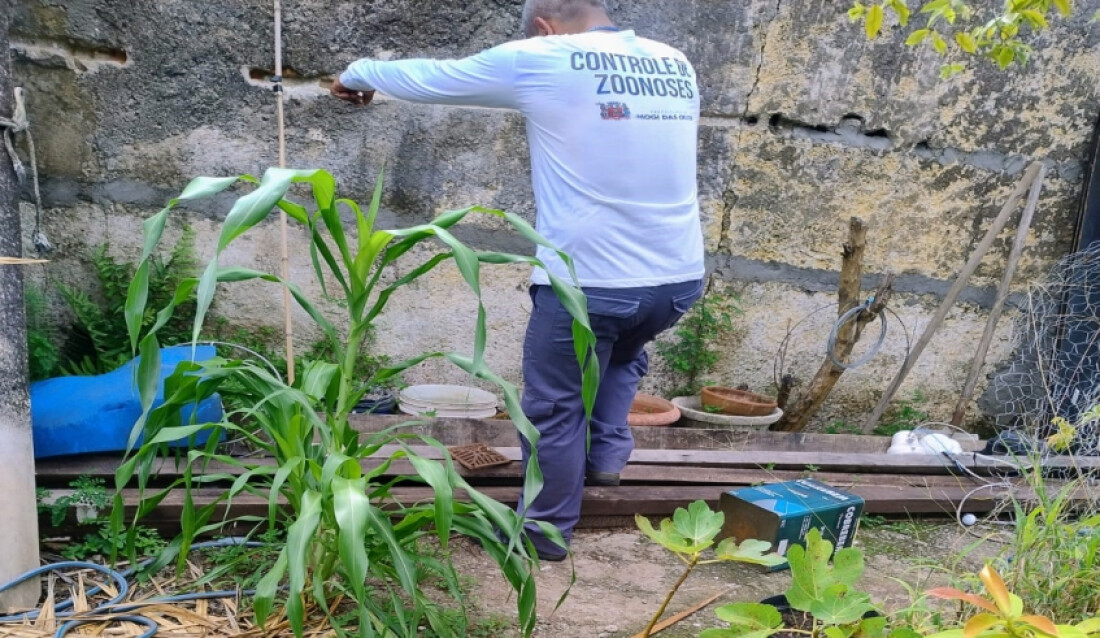 Saúde de Mogi alerta para a necessidade de manter cuidados contra a dengue