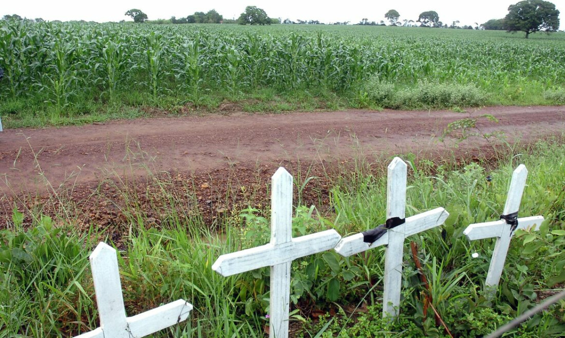 Ferida e convicção