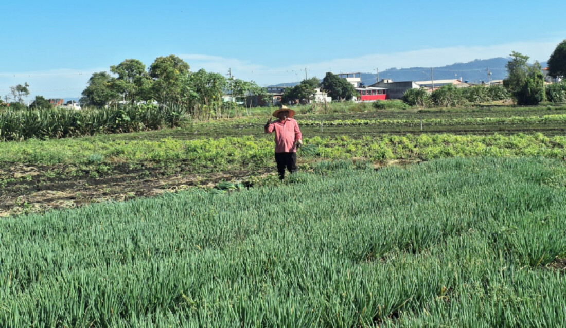 Produtores rurais de Mogi podem fazer inscrição para o Ciclo I do Seguro Rural
