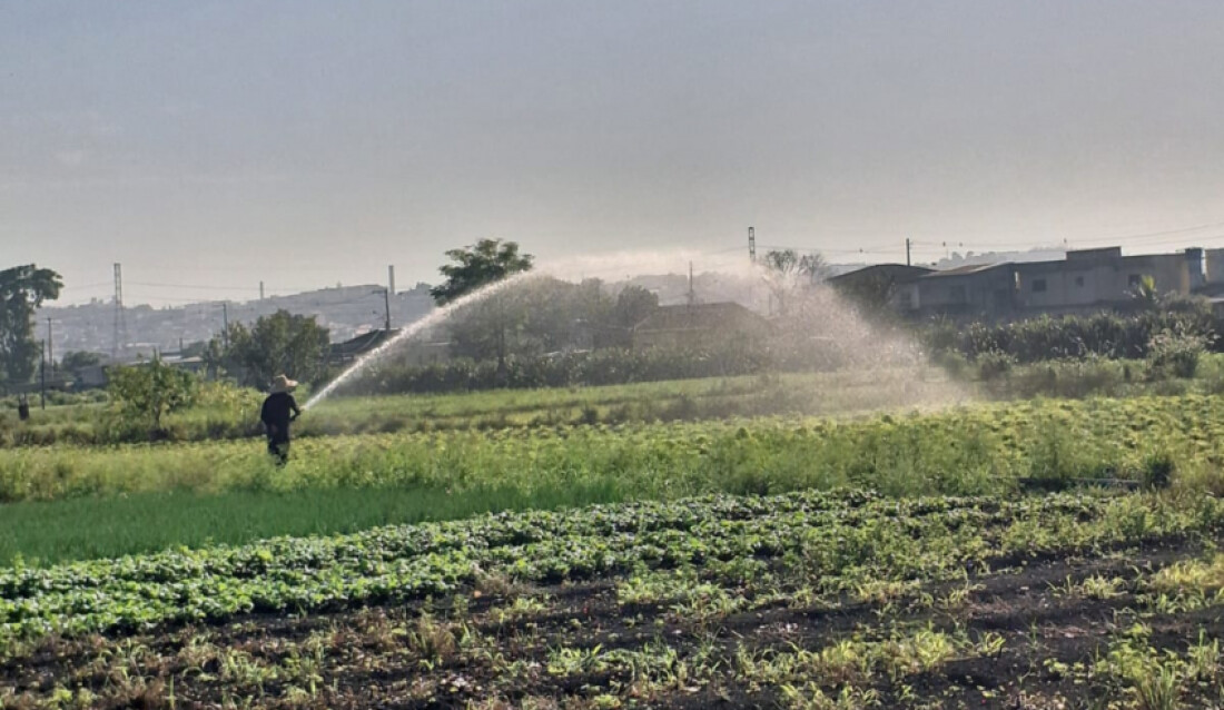    Mudanças de temperatura podem afetar safra de frutas em Mogi