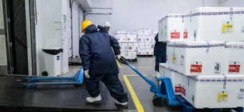 Região deve receber mais de 45 mil doses da vacina contra a dengue