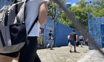 Sisu
