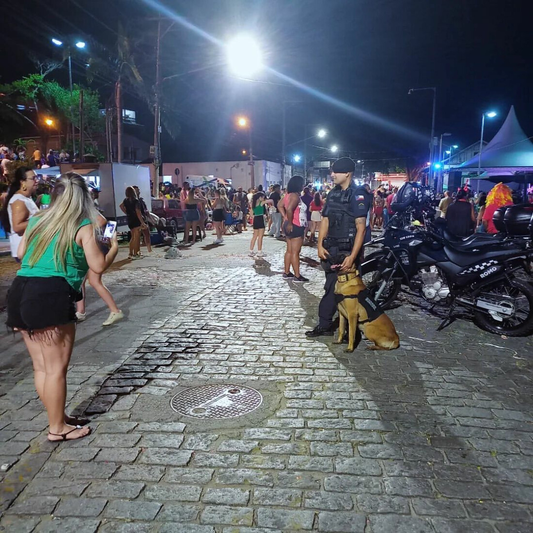 Canil da GCM de Mogi deve ficar pronto em julho e receber três novos cães 