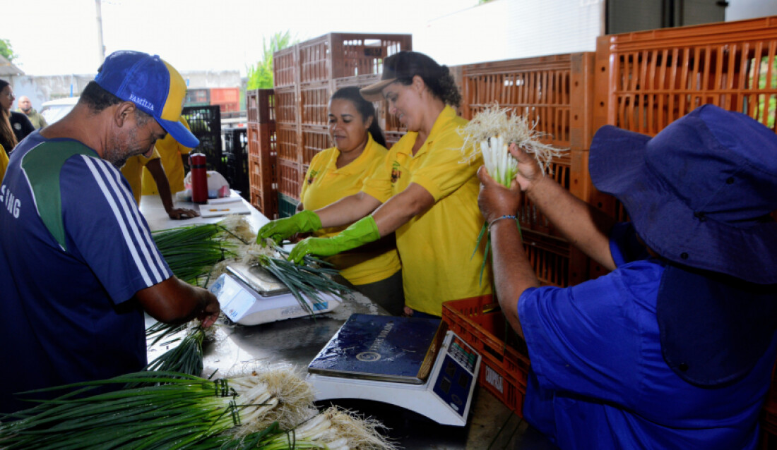 Programa Mogiano destinará R$ 500 mil para segurança alimentar 
