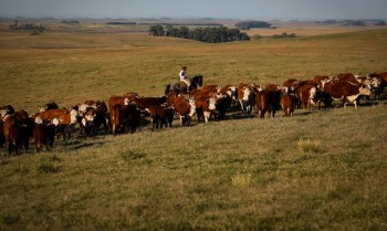 Força do agro