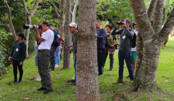 Eco Yoga e observação de pássaros levam bom público ao Parque Centenário 