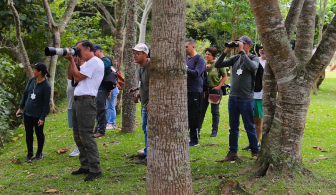 Eco Yoga e observação de pássaros levam bom público ao Parque Centenário 