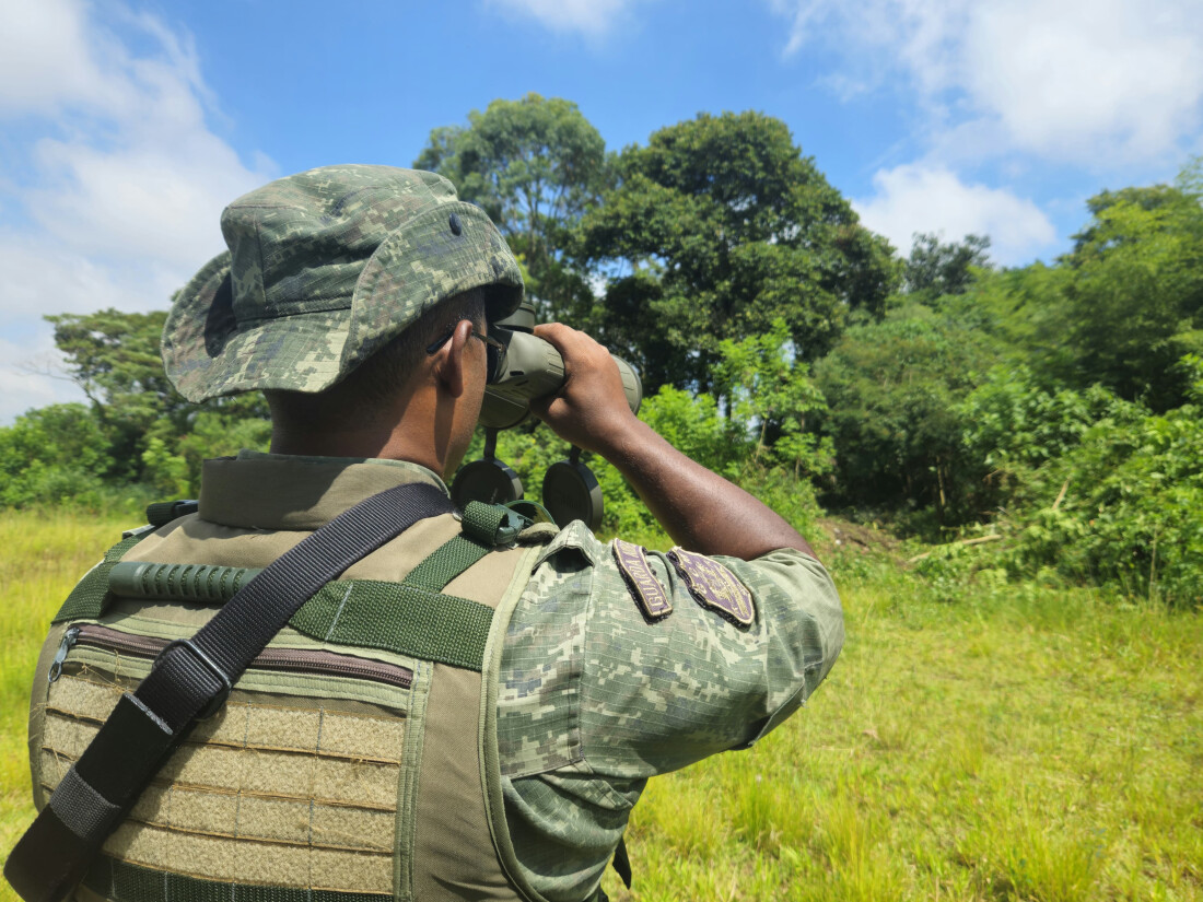 Guarda Ambiental flagra corte ilegal de árvores e aplica multa de R$ 3,5 mil