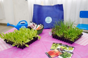 Profissionais da rede municipal de ensino passam por formação em Horta Pedagógica