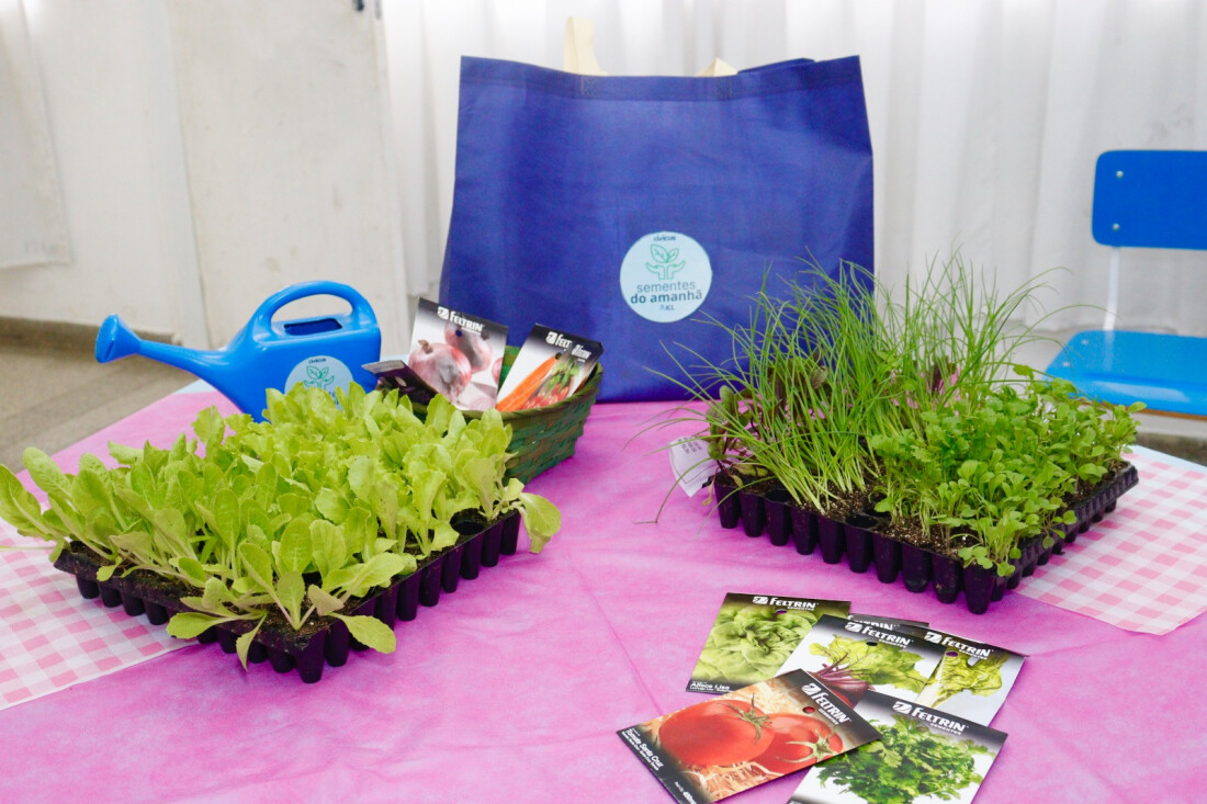 Profissionais da rede municipal de ensino passam por formação em Horta Pedagógica