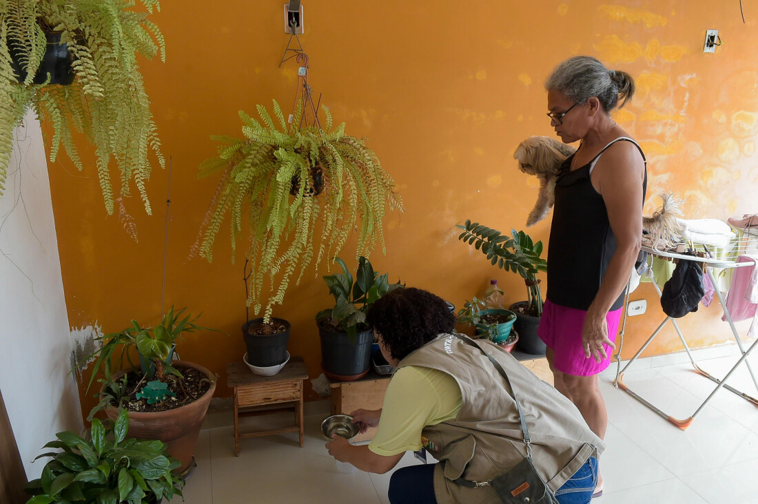 Casos confirmados de dengue na região do Condemat+ têm alta de 51%