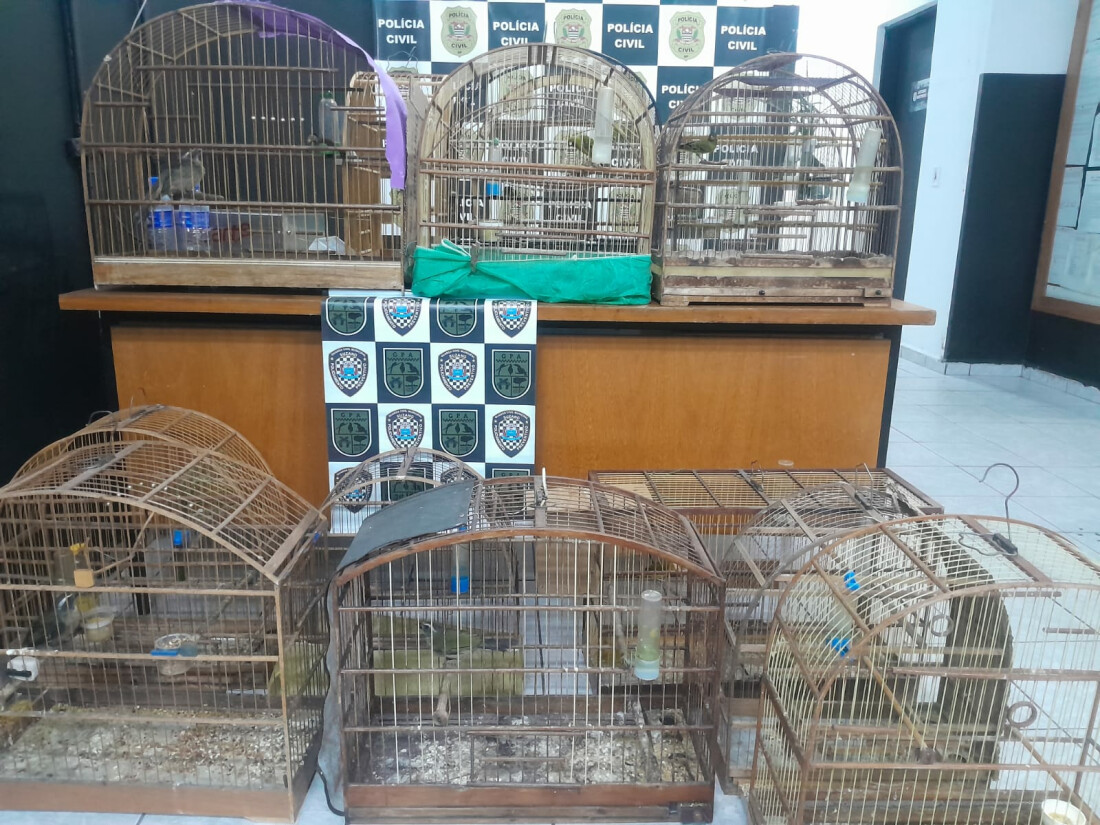 GCM resgata animais e impede corte ilegal de árvores em Suzano