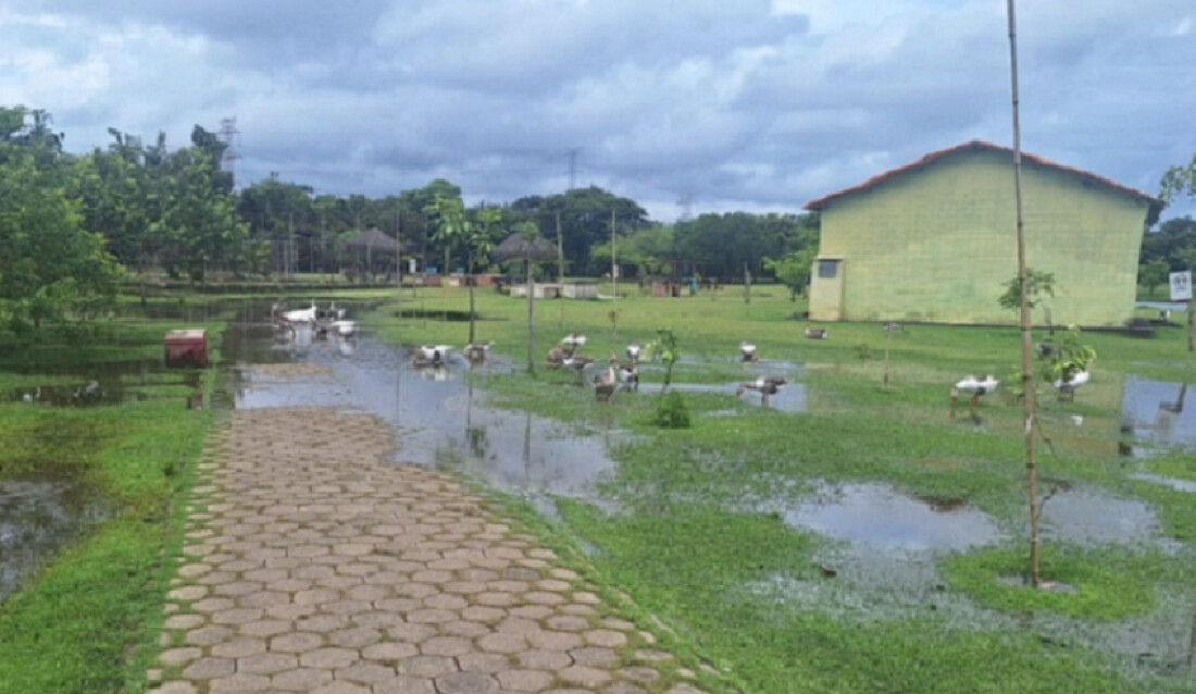 Nível dos lagos sobe e Parque Centenário tem trecho da pista de caminhada interditado
