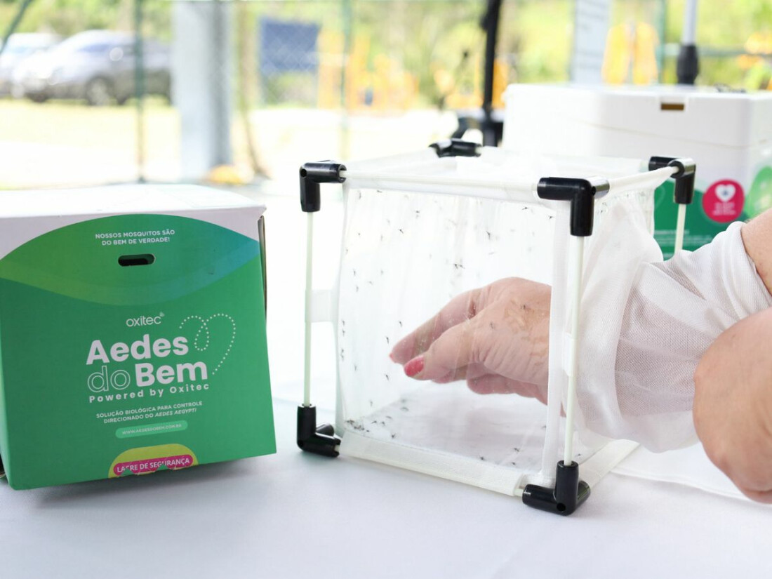 Suzano inicia 3ª fase do projeto ‘Aedes do Bem’ no Jardim Varan