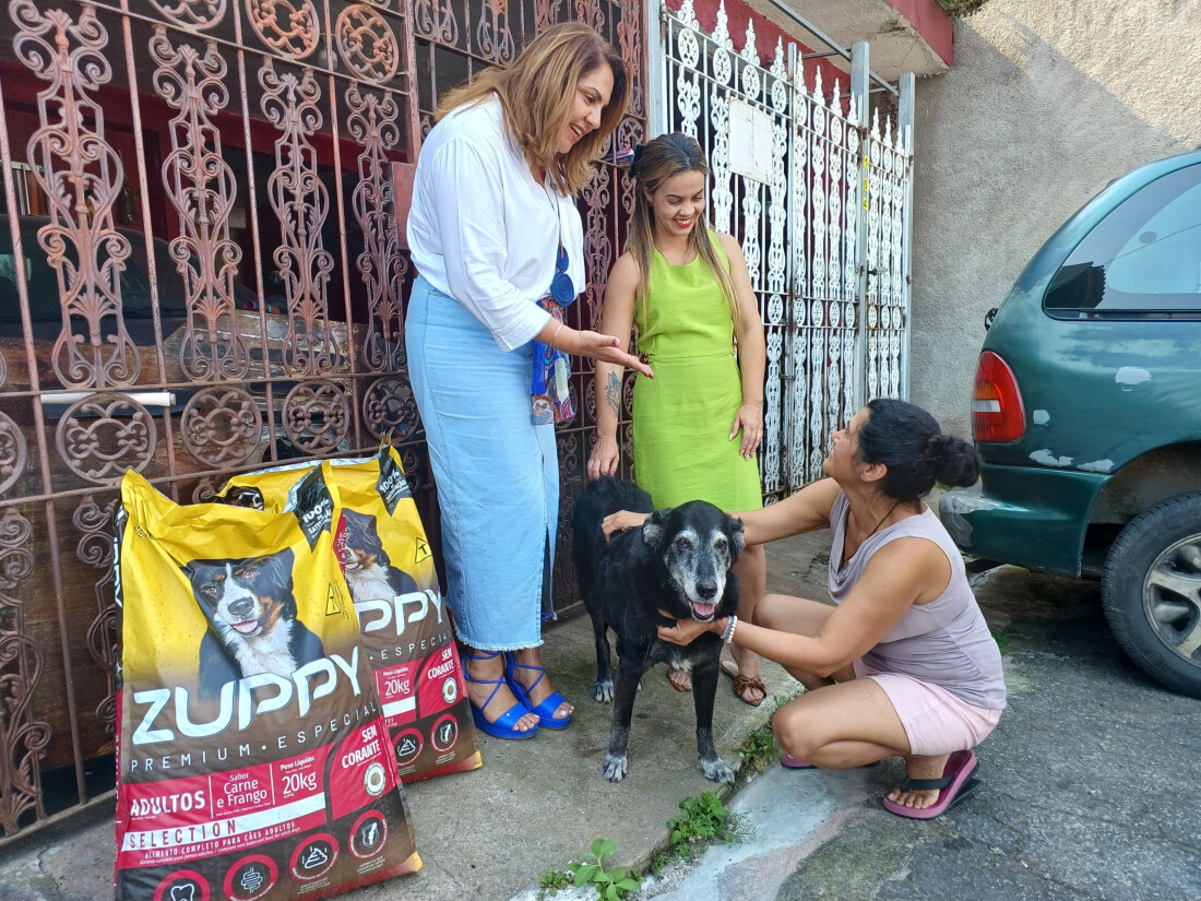 Prefeitura de Poá atenderá mais de 460 gatos com Banco de Ração