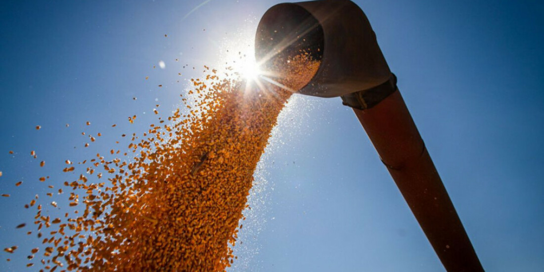 Conab estima produção de grãos em 315,8 milhões de toneladas