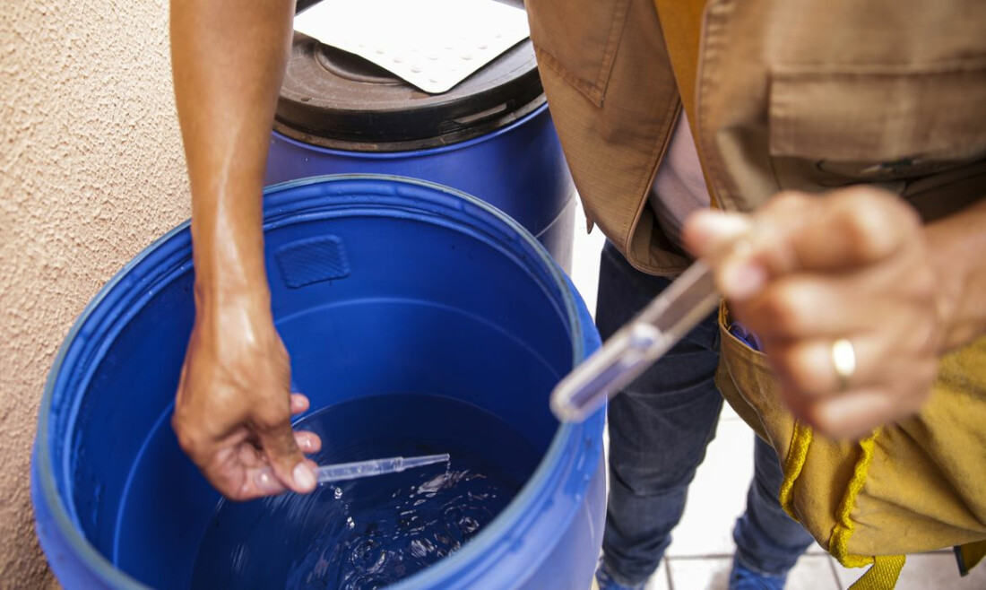 Vacinação contra dengue