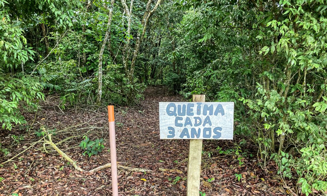 Queimadas