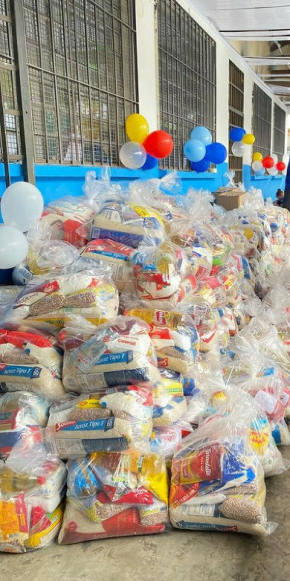 Ação do Instituto Sopa quer arrecadar 700 cestas básicas