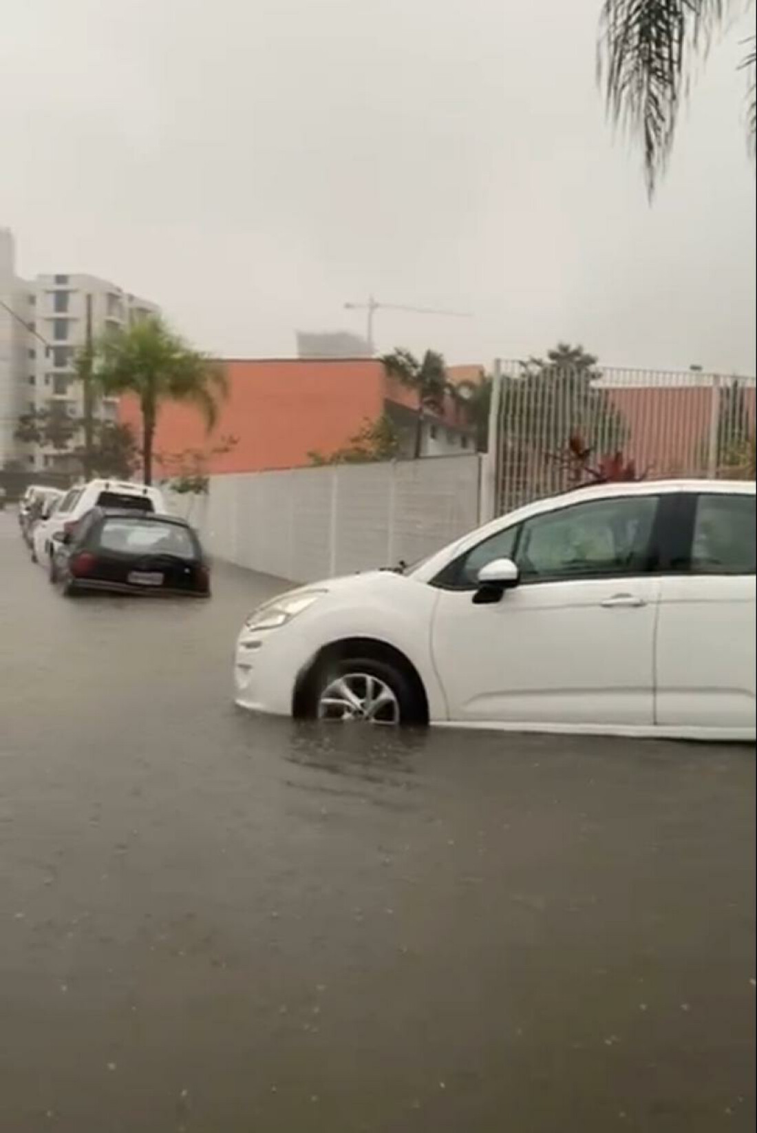 Após chuva, Prefeitura de Mogi faz trabalho de limpeza neste domingo