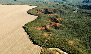 Avanço da agropecuária