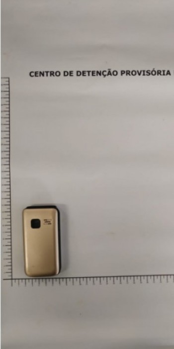 Mãe de preso é flagrada tentando entrar com celular