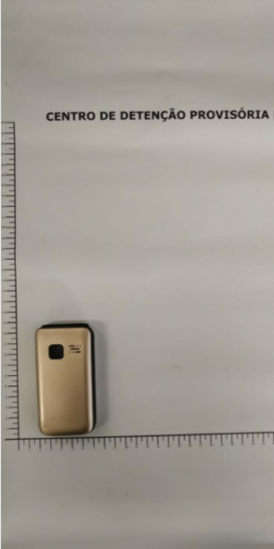 Mãe de preso é flagrada tentando entrar com celular