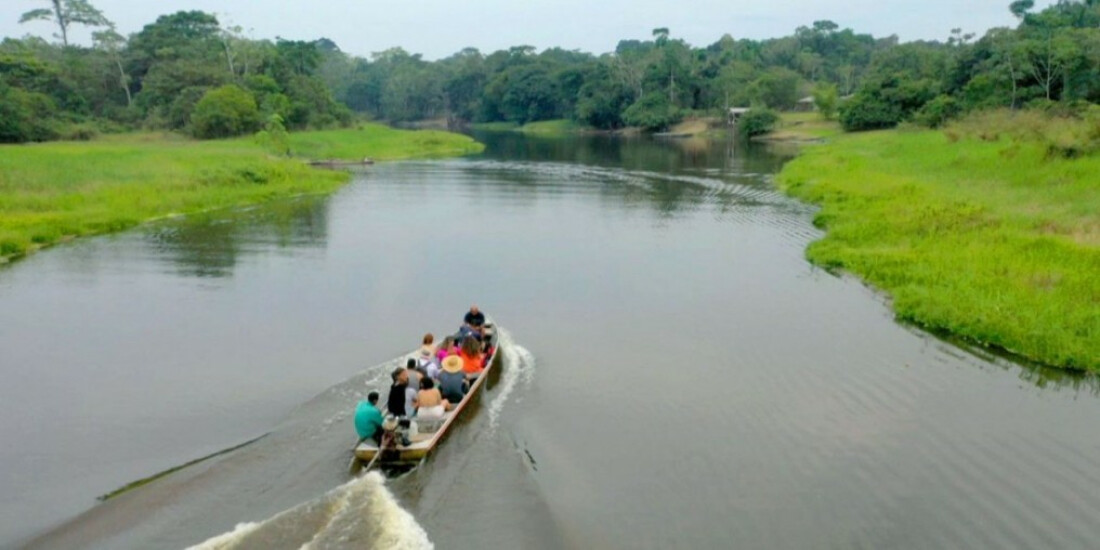 Farinha, a estrela do Acre é tema do Caminhos da Reportagem de hoje