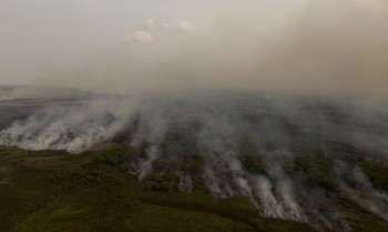 Mata Atlântica