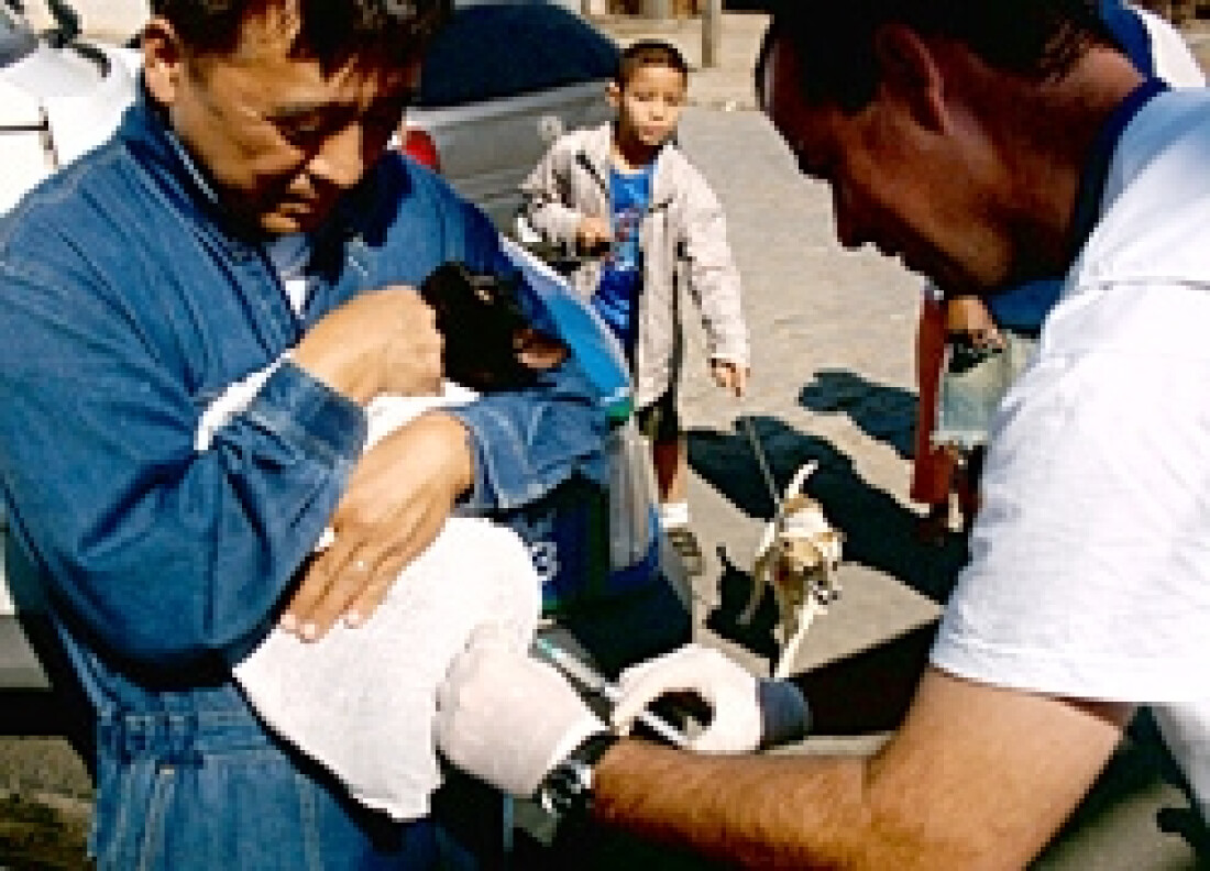 Mogi oferece vacinação antirrábica para cães e gatos neste sábado (23)