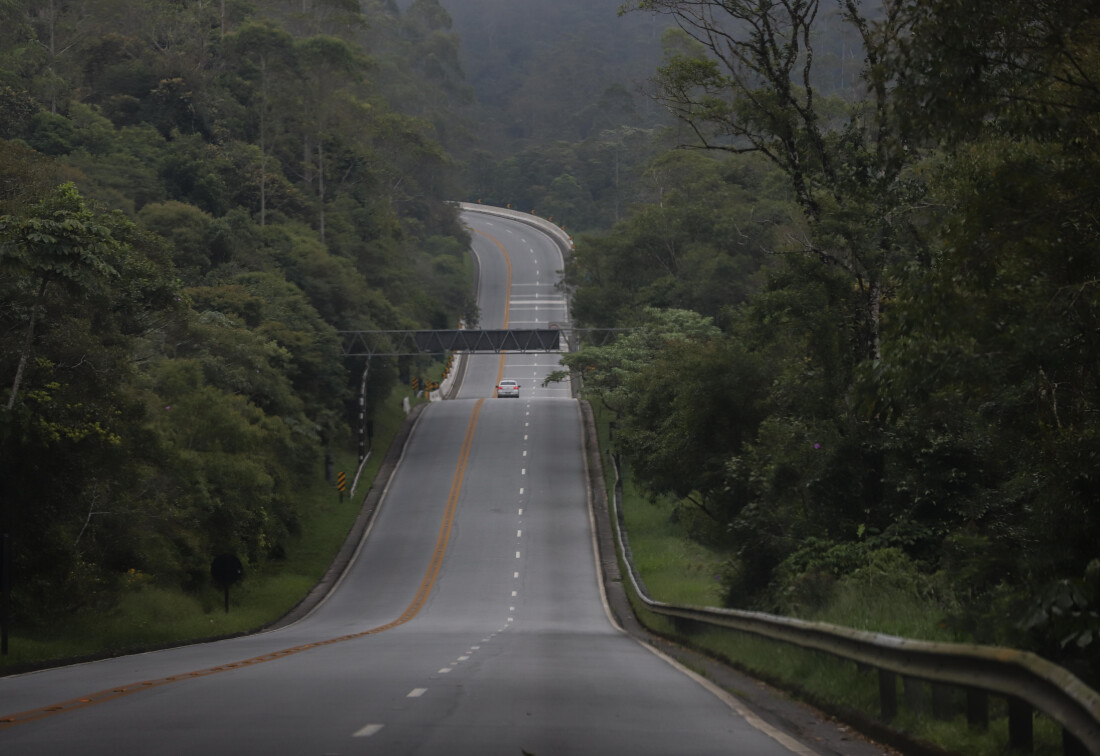 Mais de 800 mil veículos devem passar pelas estradas da região neste feriado