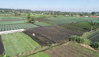 Prefeitura promove palestra sobre seguro rural para agricultores de Mogi 