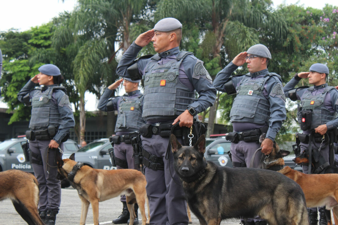 Canil do Caep: cães policiais herdam legado na luta contra o crime no Alto Tietê 