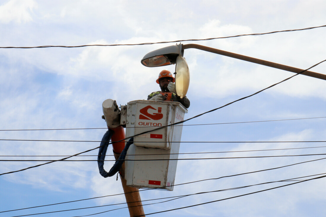 'Ilumina Suzano' tem aumento de 20% no número de ações no 1º trimestre