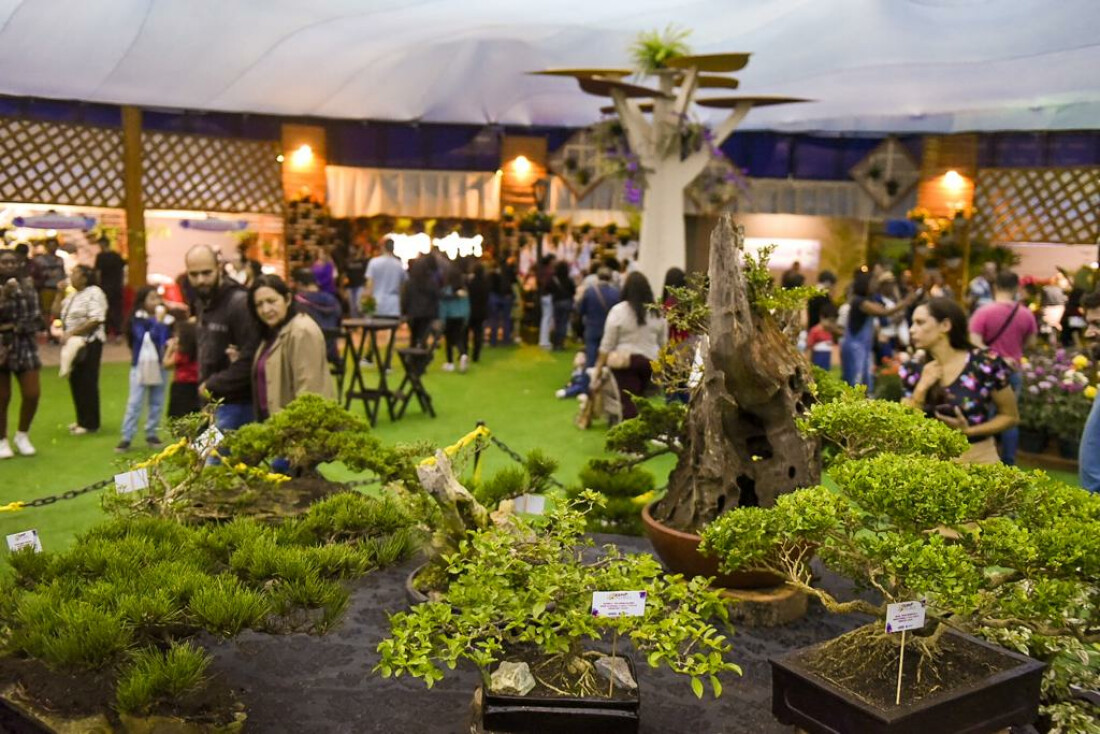 'ExpoFlores' traz diversidade da produção de plantas, exposição e oficinas