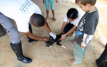 Vacinação contra a raiva para cães e gatos será disponibilizada no sábado (27)